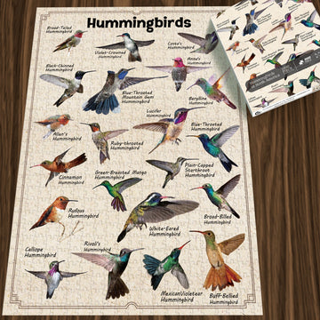 Bboldin® Hummingbirds Jigsaw Puzzles 1000 Pieces